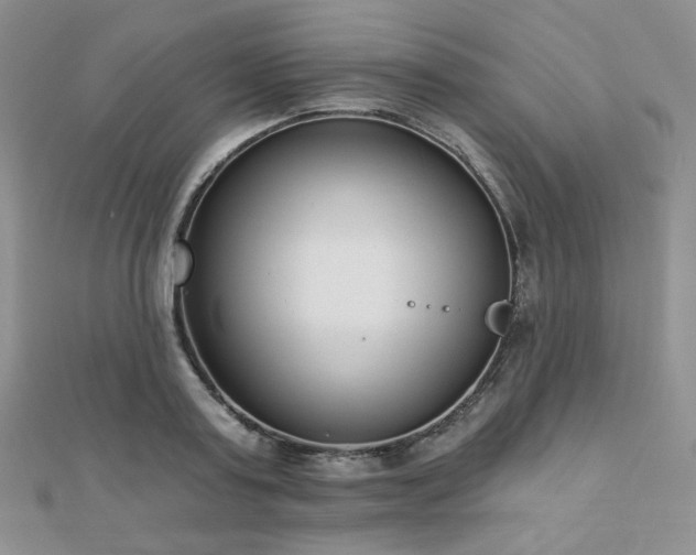 X0000110740795200906151102