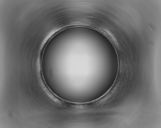 X0000110740796200906151102