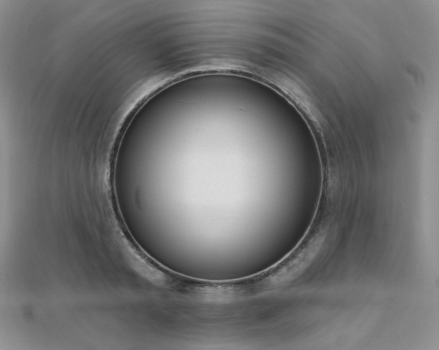 X0000110740797200906151102