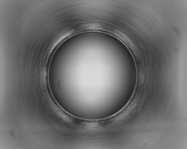 X0000110740798200906151102