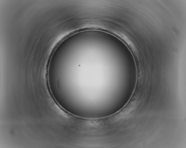 X0000110740799200906151102