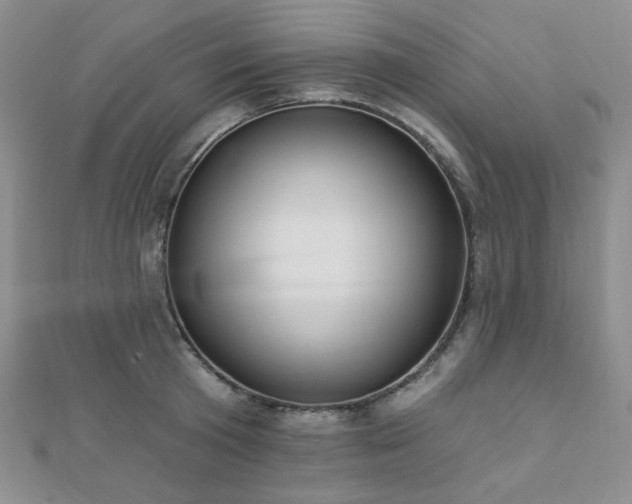 X0000110740801200906151102