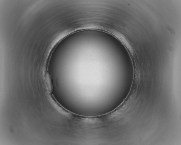 X0000110740805200906151102