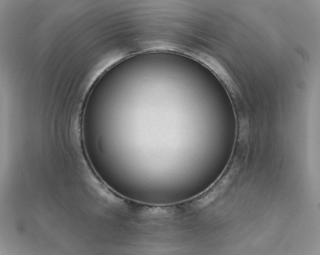X0000110740806200906151102