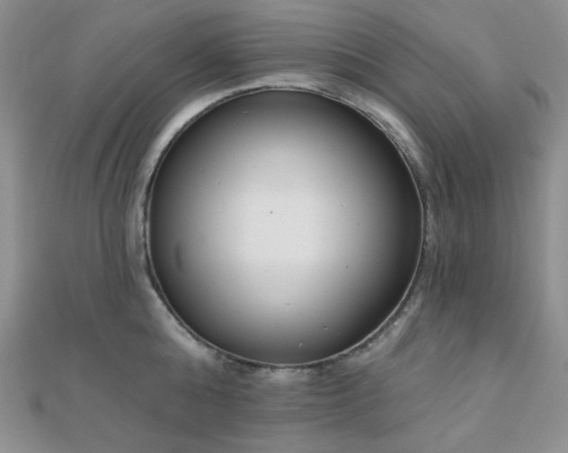 X0000110740808200906151102