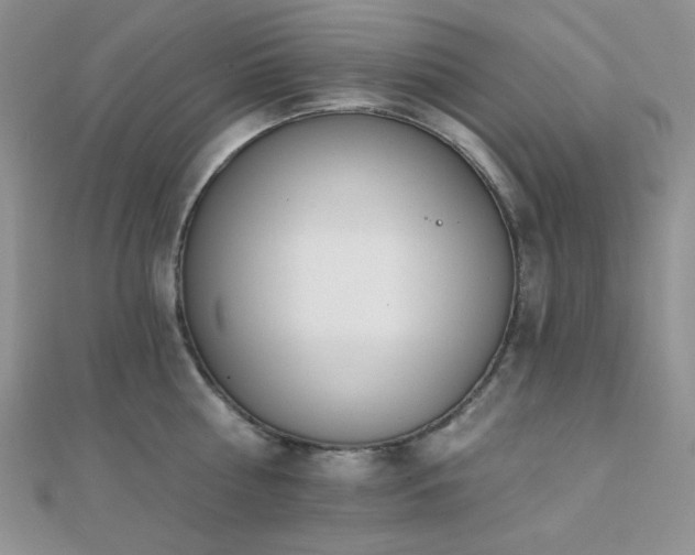 X0000110740810200906151102