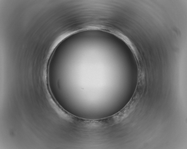 X0000110740811200906151102