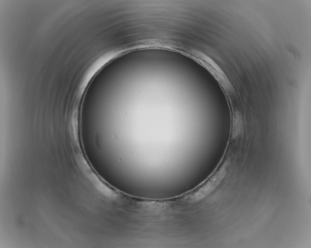 X0000110740812200906151102