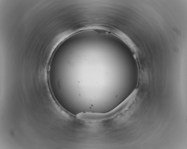 X0000110740813200906151102