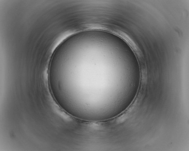 X0000110740814200906151102