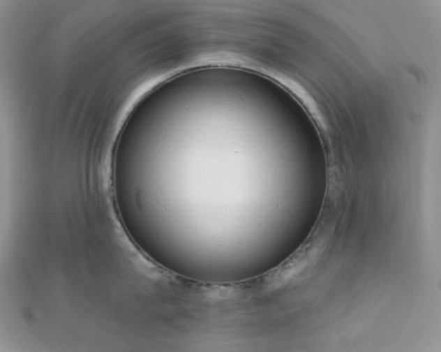 X0000110740815200906151102