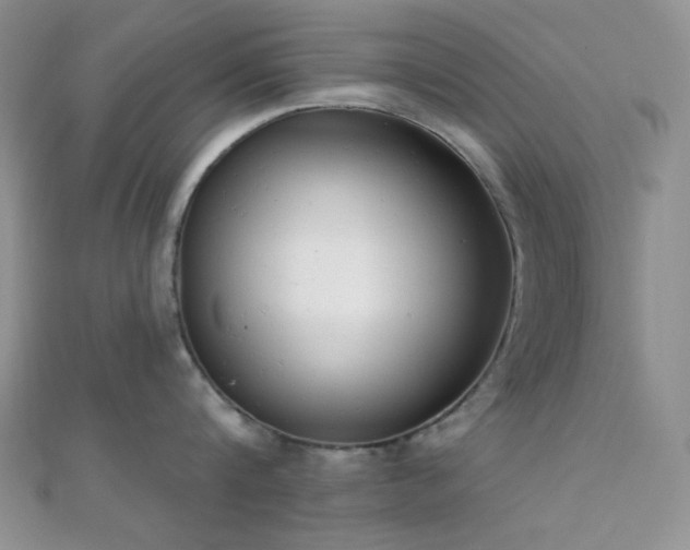 X0000110740816200906151102