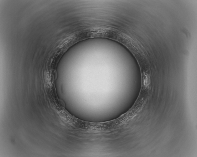 X0000110740819200906151101
