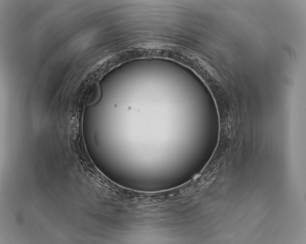 X0000110740821200906151102