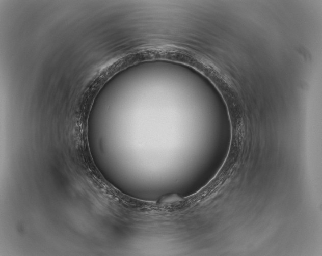 X0000110740822200906151102