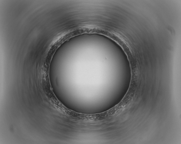 X0000110740823200906151102