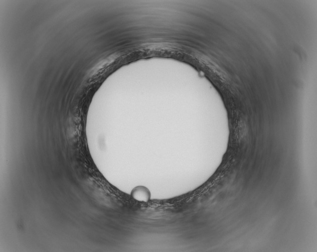 X0000110740824200906151102