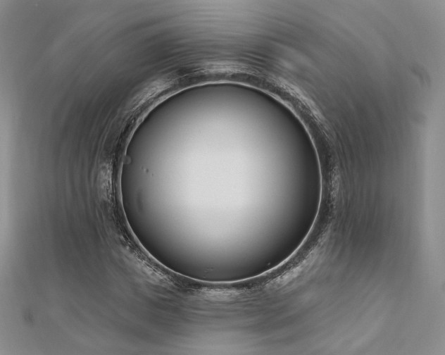 X0000110740825200906151102