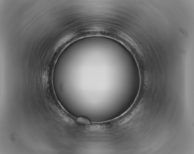 X0000110740826200906151102