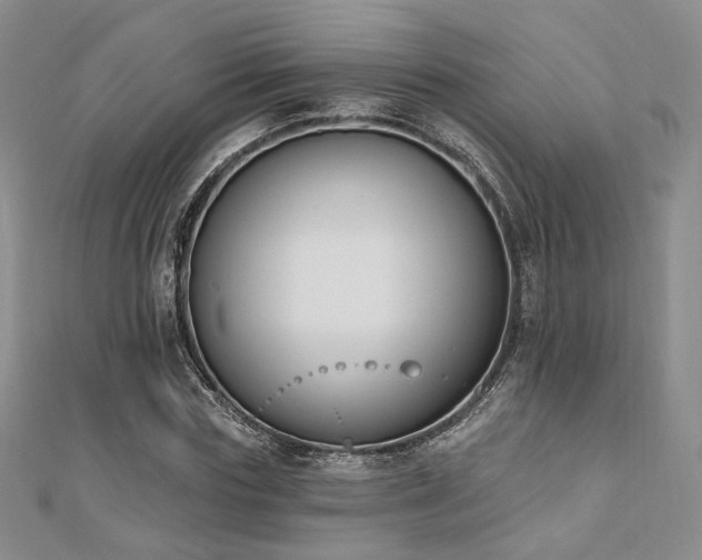 X0000110740827200906151102