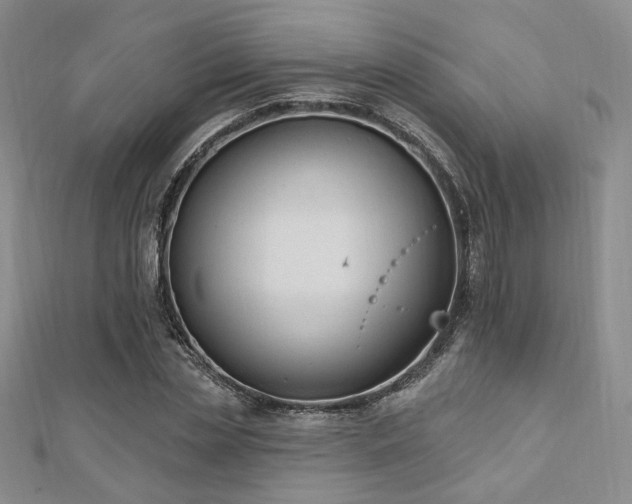 X0000110740829200906151102