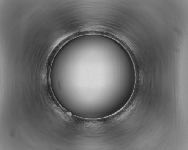 X0000110740830200906151102