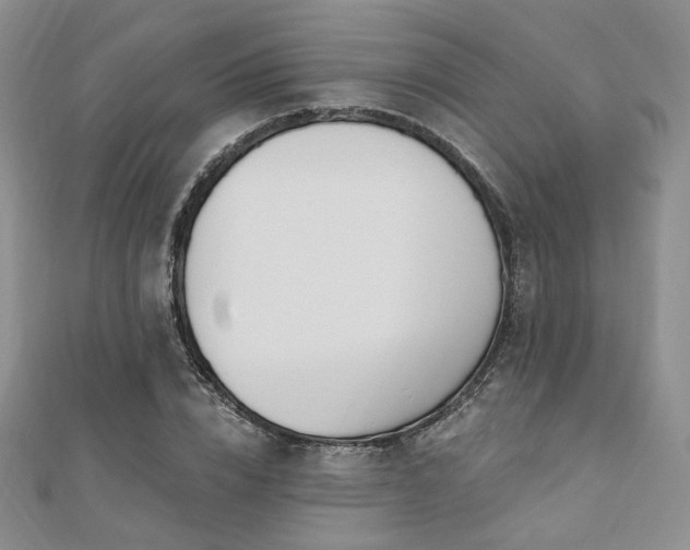 X0000110740832200906151102