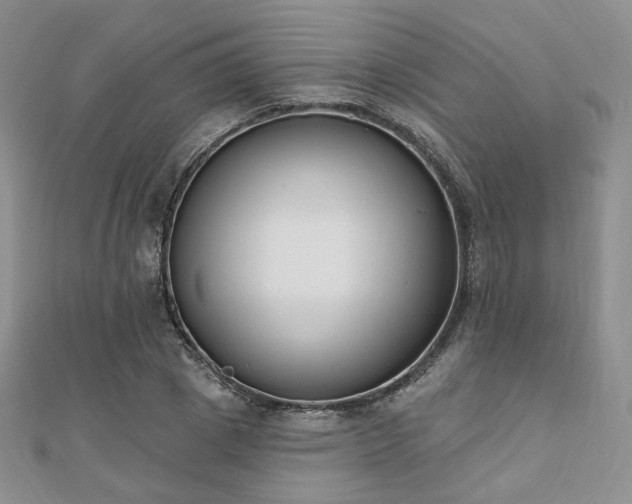 X0000110740833200906151102