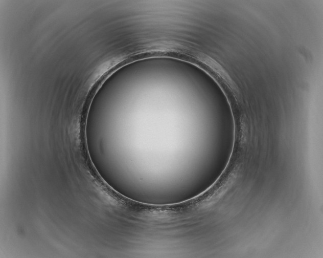 X0000110740834200906151102
