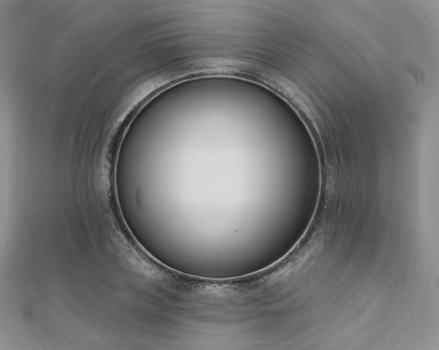 X0000110740835200906151102