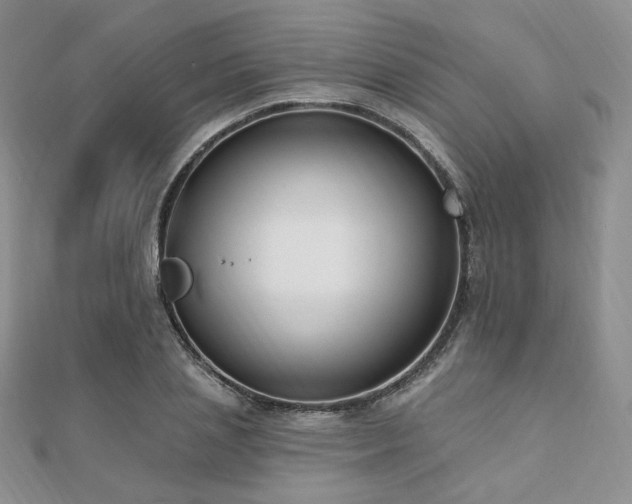 X0000110740837200906151102