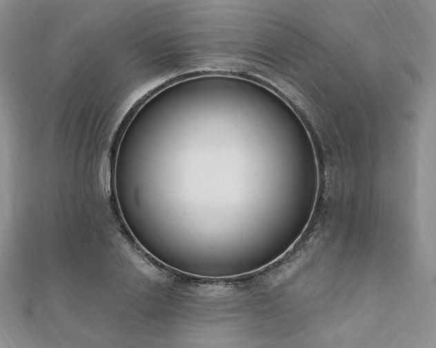 X0000110740838200906151102