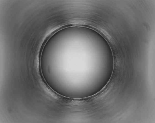 X0000110740840200906151102