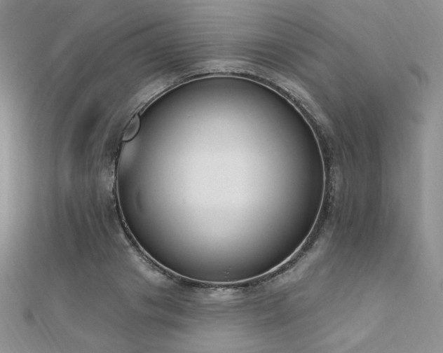 X0000110740841200906151102