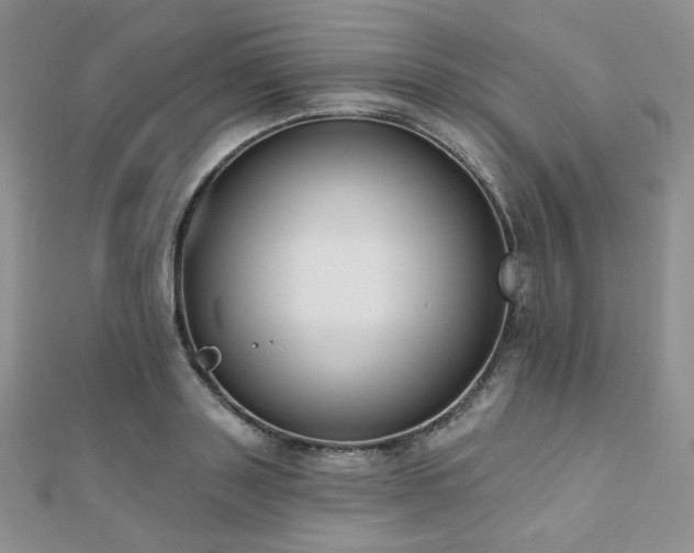 X0000110740843200906151102