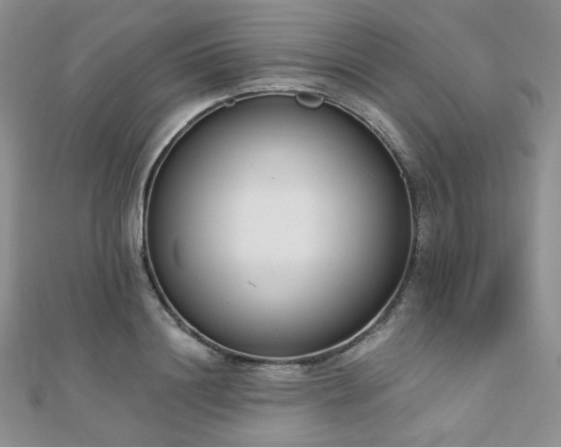 X0000110740844200906151102