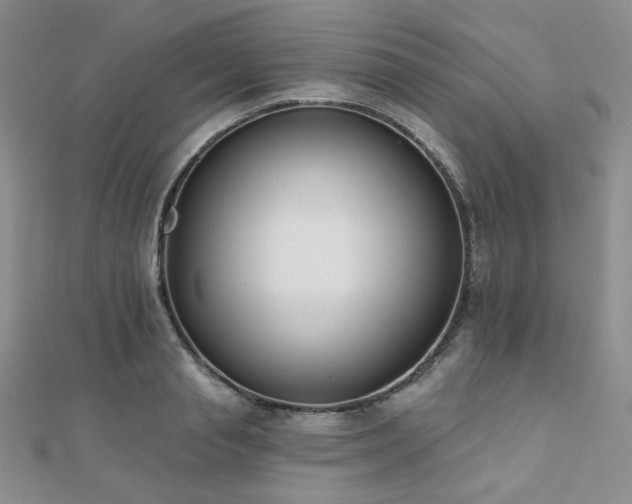X0000110740845200906151102