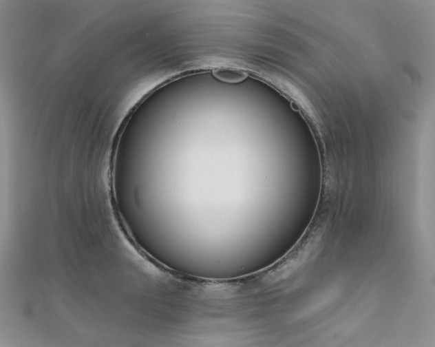 X0000110740847200906151102