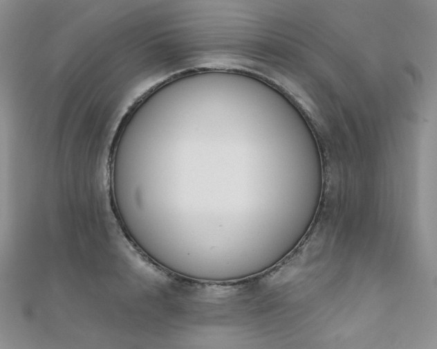 X0000110740848200906151102