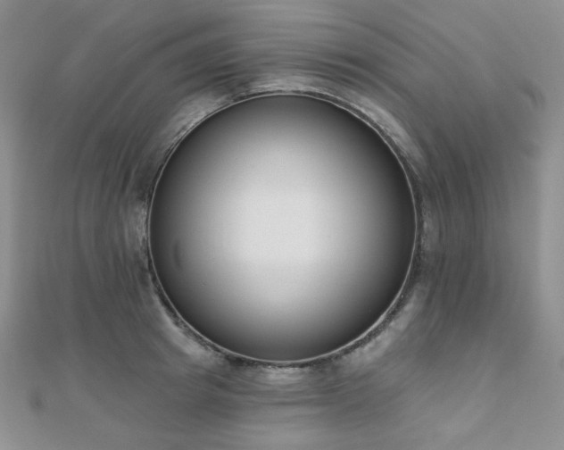 X0000110740849200906151102