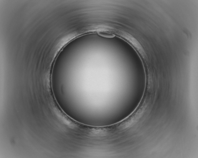 X0000110740850200906151102