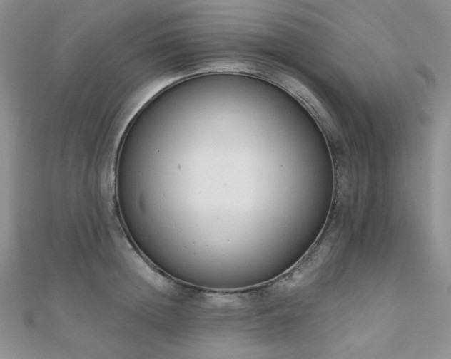 X0000110740852200906151102