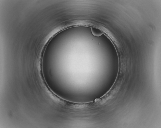 X0000110740853200906151102