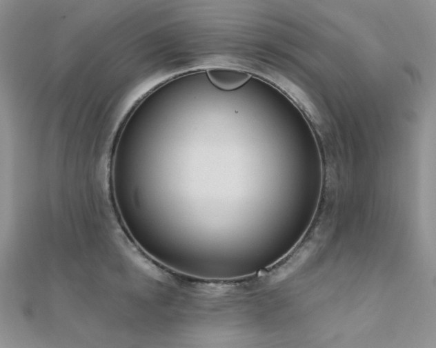 X0000110740854200906151102