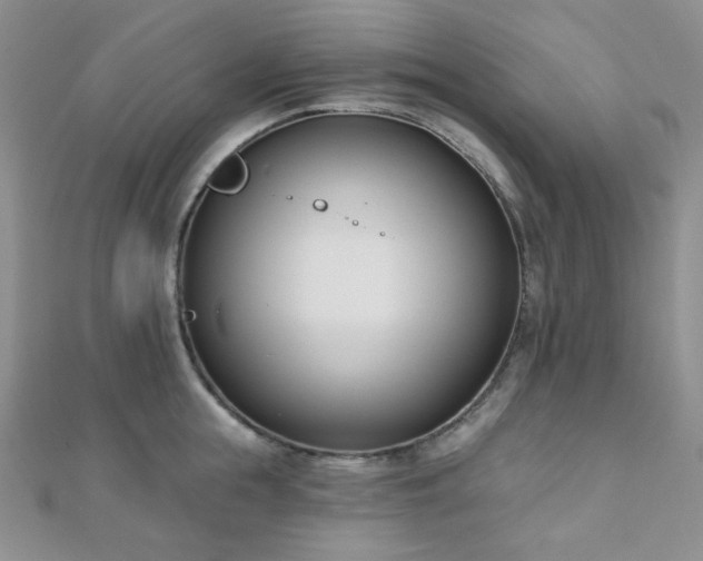 X0000110740855200906151102