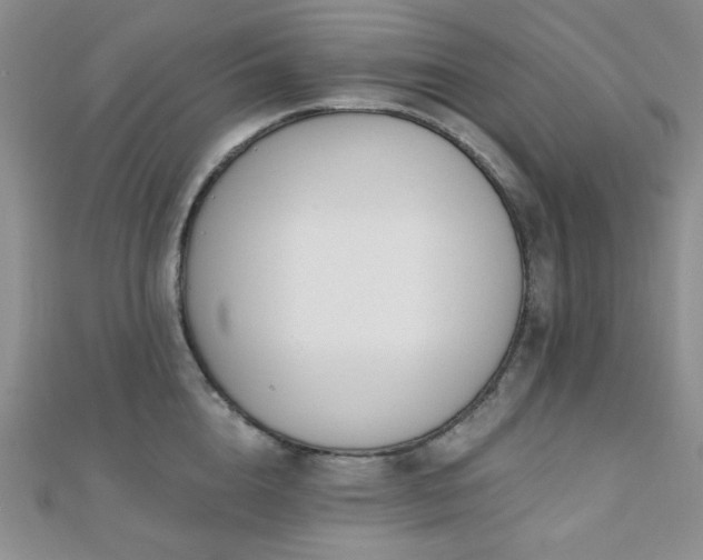 X0000110740856200906151102