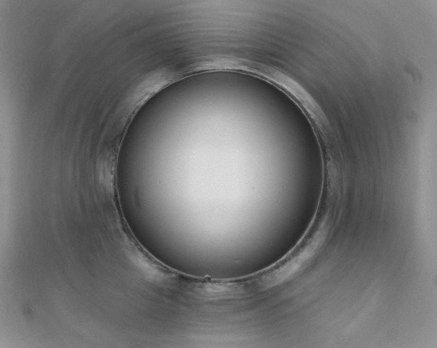 X0000110740857200906151102