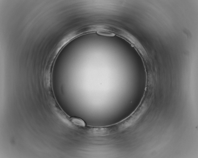 X0000110740858200906151102