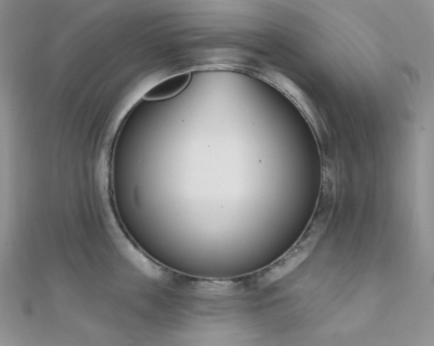 X0000110740859200906151102