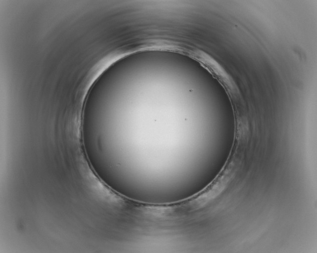X0000110740860200906151102